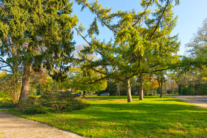 Foto 28 van Julianaplein 2