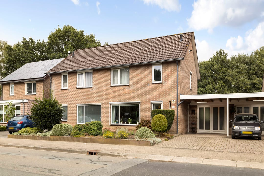 Foto 1 van Grote ratelaar 111