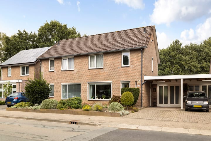 Foto 1 van Grote ratelaar 111