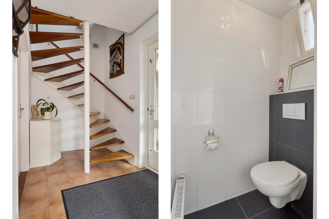 Foto 2 van Grote ratelaar 111