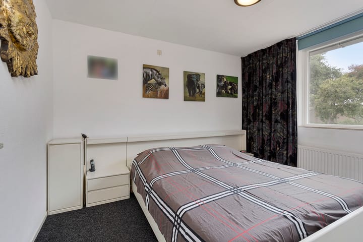 Foto 9 van Grote ratelaar 111