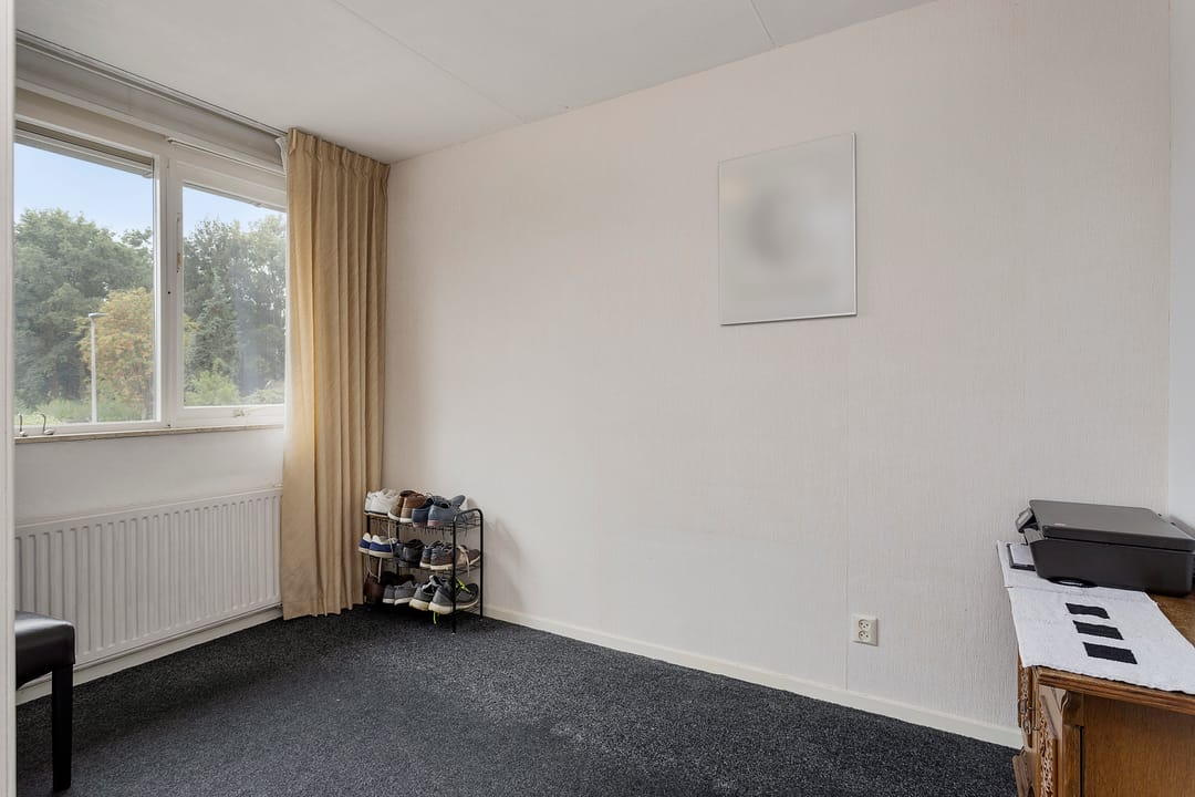 Foto 11 van Grote ratelaar 111