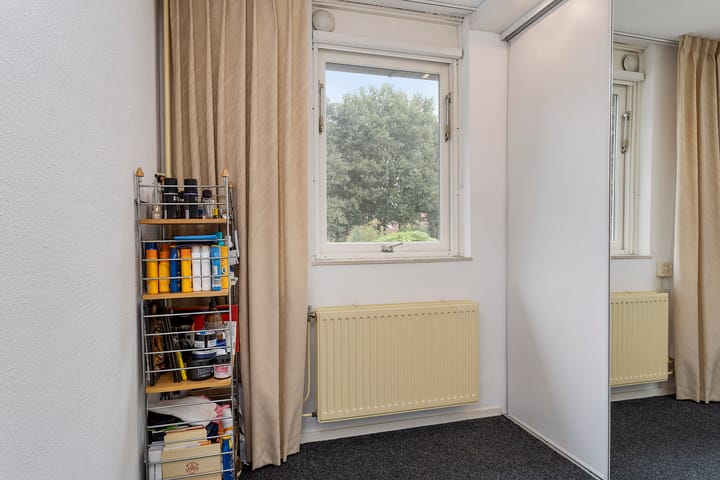 Foto 12 van Grote ratelaar 111