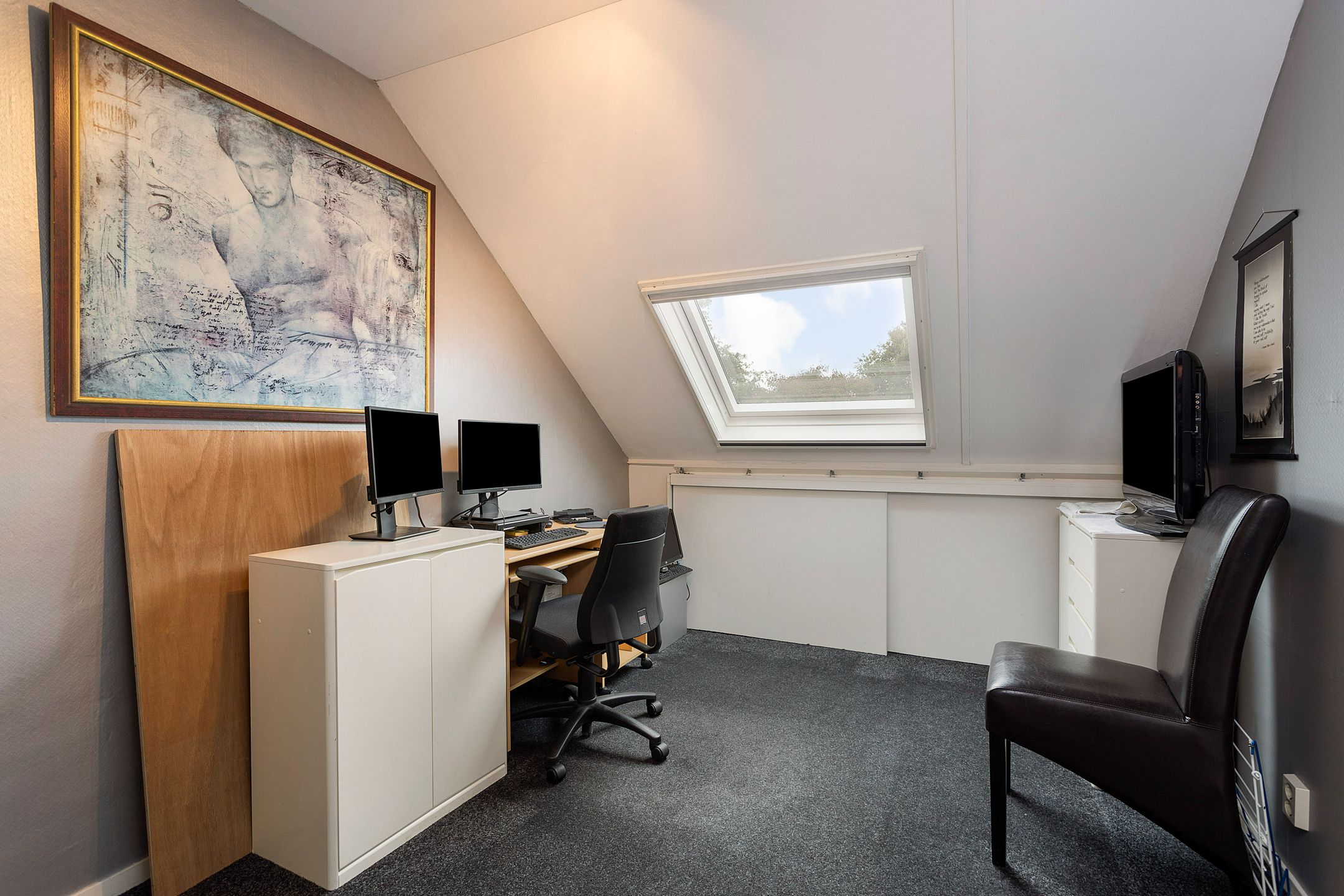 Foto 15 van Grote ratelaar 111