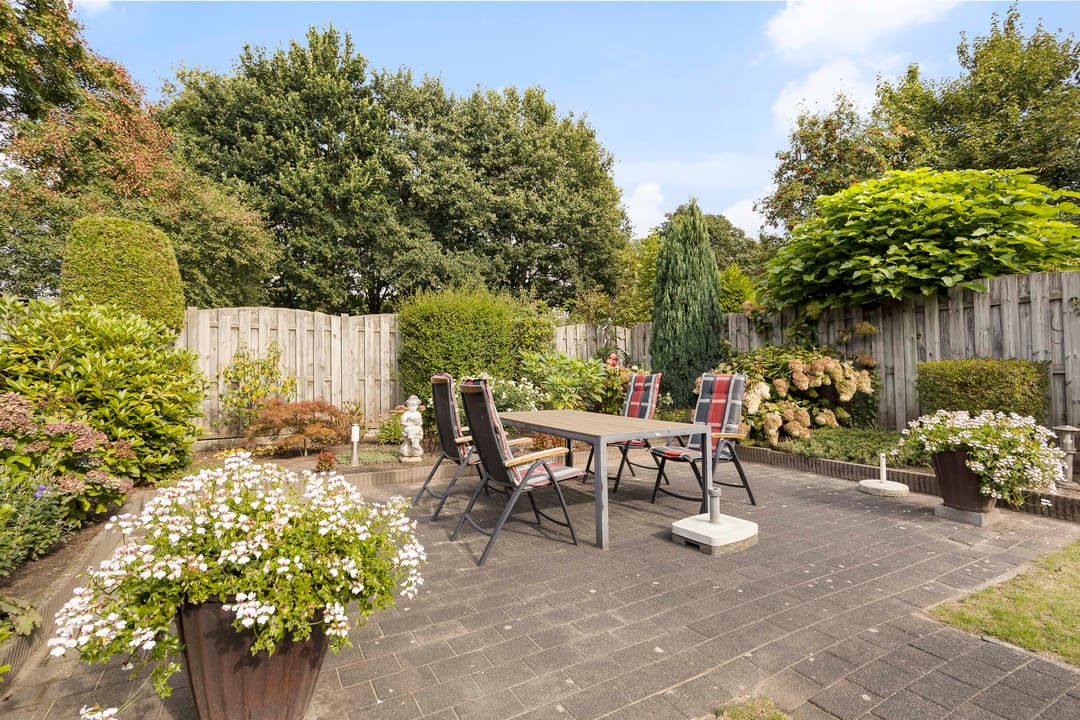 Foto 17 van Grote ratelaar 111