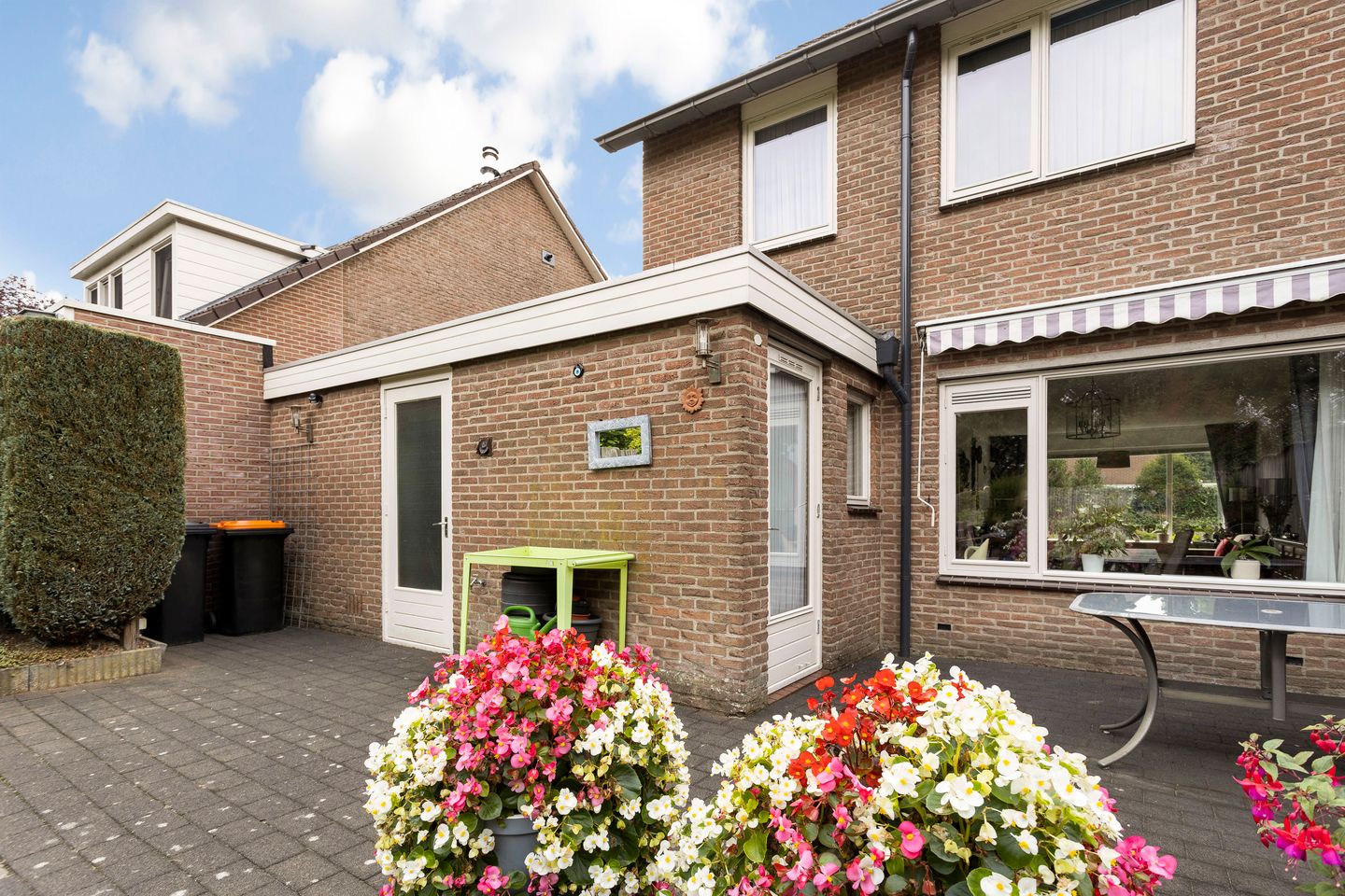 Foto 19 van Grote ratelaar 111