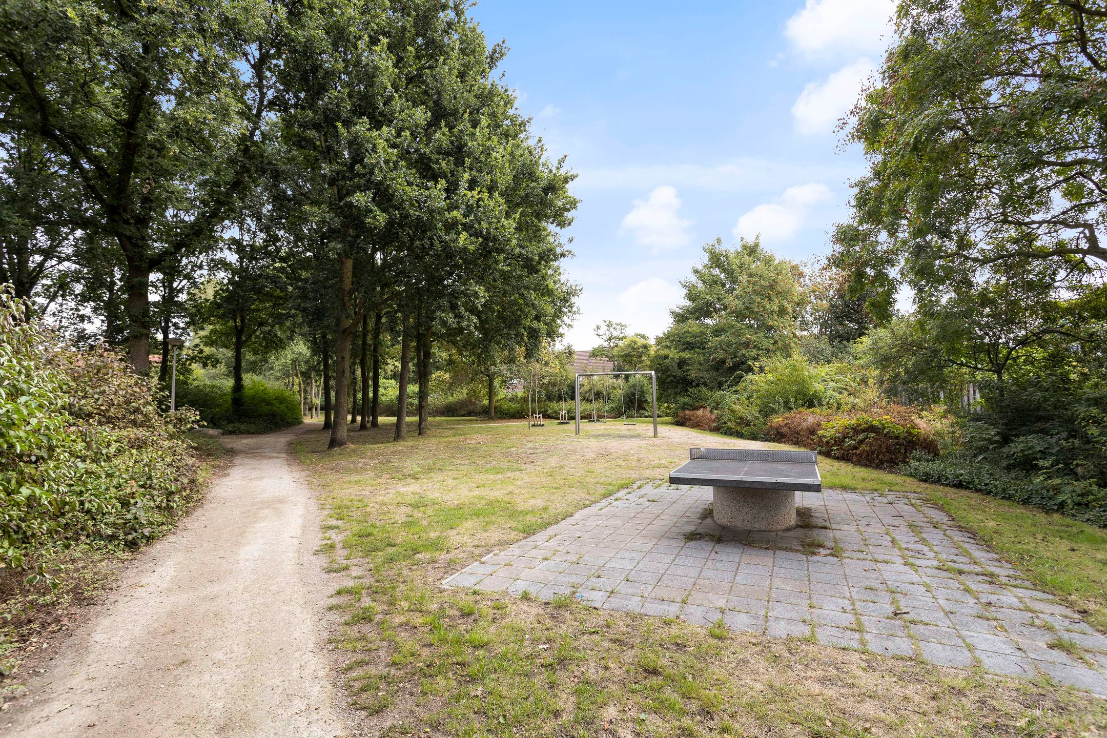 Foto 21 van Grote ratelaar 111