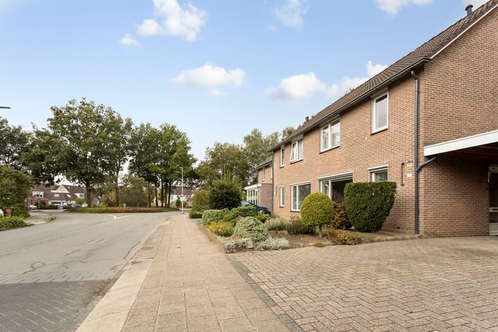 Foto 23 van Grote ratelaar 111