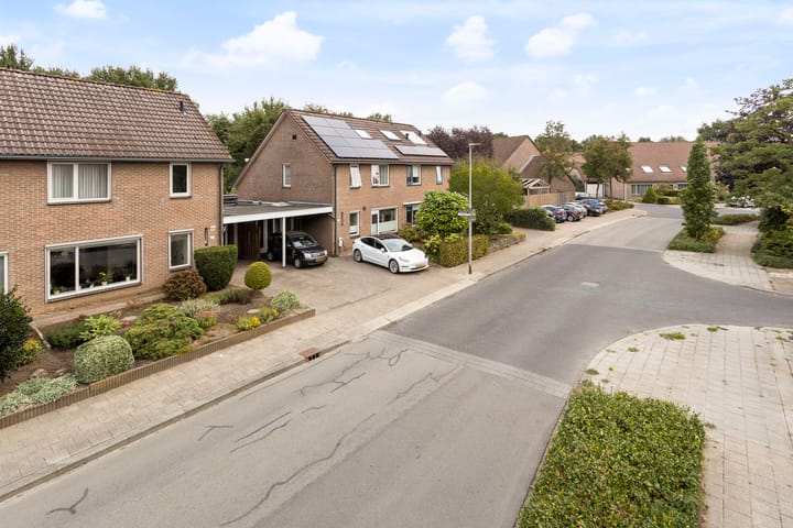 Foto 24 van Grote ratelaar 111