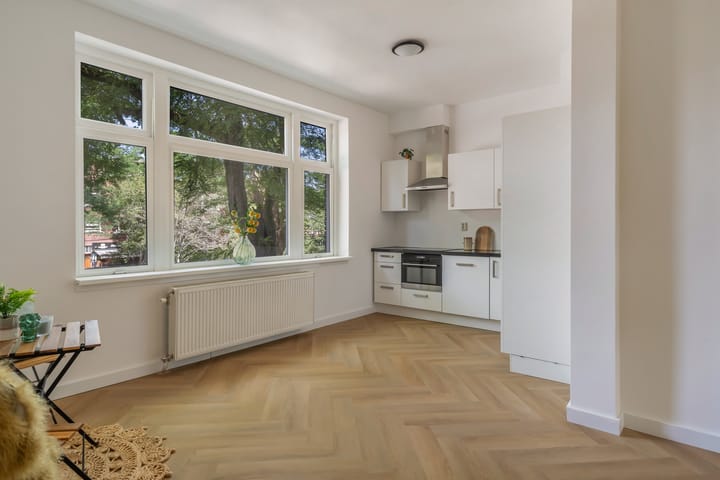 Foto 9 van Van Hoytemastraat 39-A