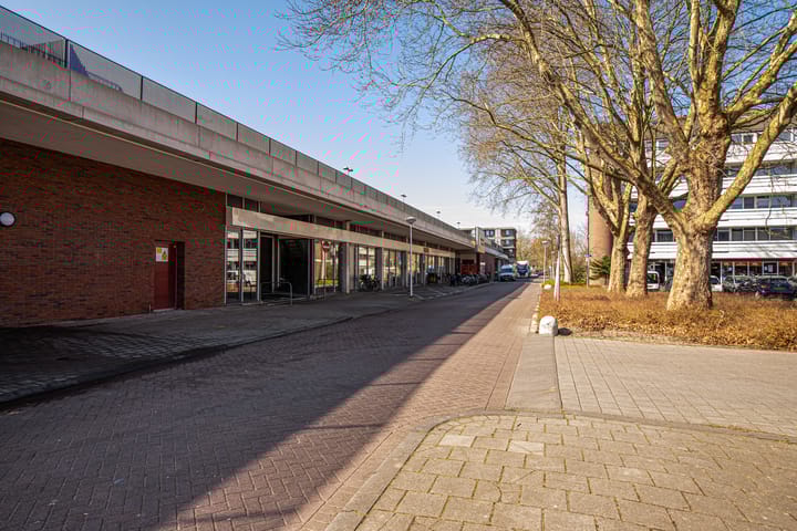 Foto 7 van Ruigenburg 59