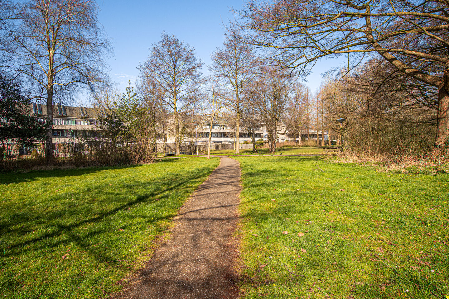 Foto 34 van Ruigenburg 59