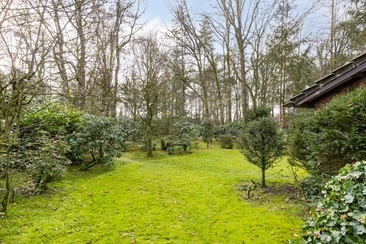 Foto 5 van Kattenbergweg 1-61