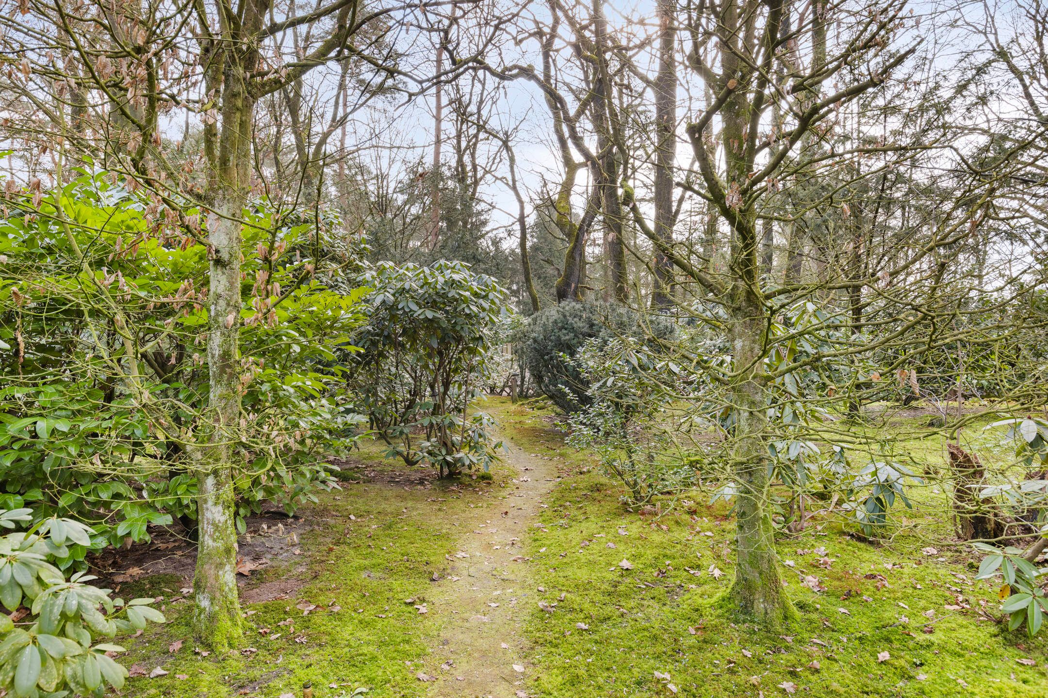 Foto 21 van Kattenbergweg 1-61