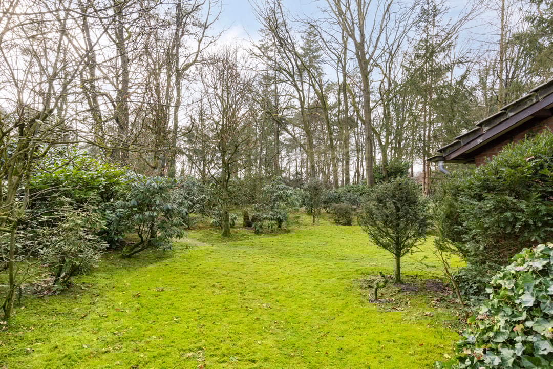 Foto 23 van Kattenbergweg 1-61