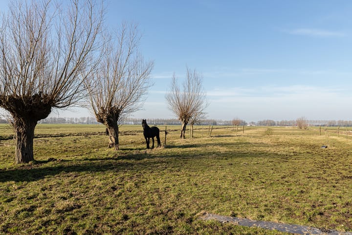 Foto 68 van Westeinde 16-A