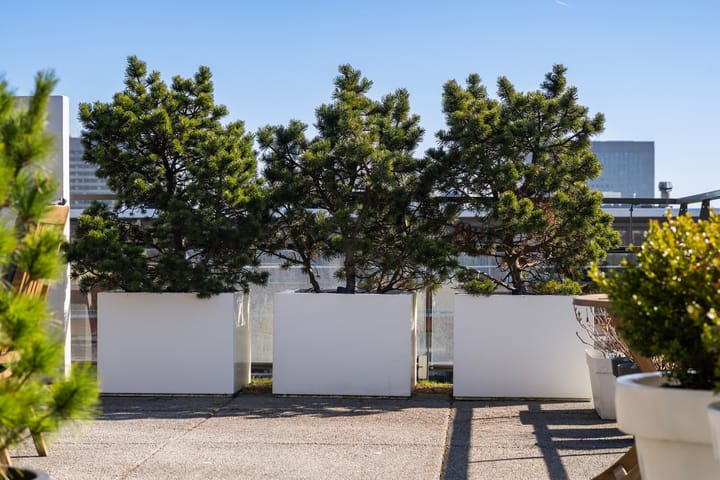 Foto 24 van Struisenburgstraat 36-B