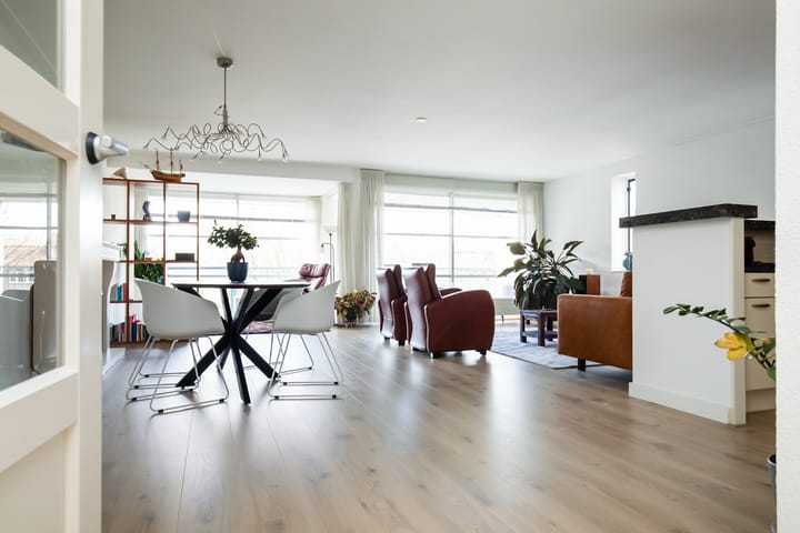 Foto 17 van Jan Steenstraat 44