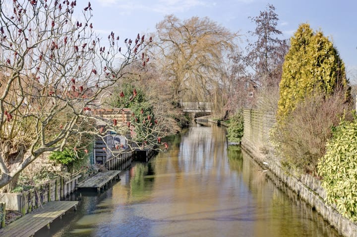 Foto 11 van Dwarsland 42