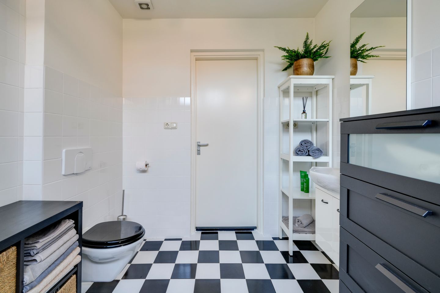 Foto 5 van Laan van Nieuw-Guinea 65