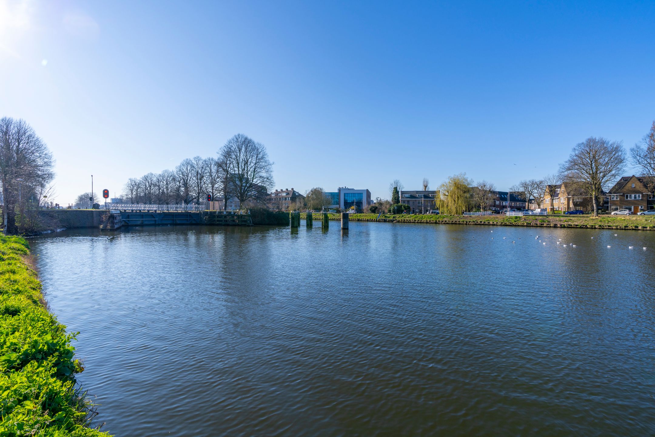 Foto 30 van Laan van Nieuw-Guinea 65