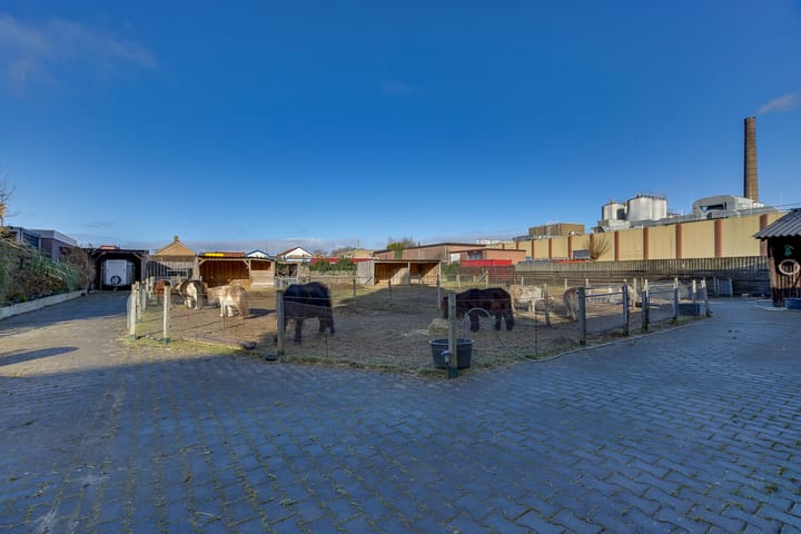 Foto 25 van Welsummerstraat 13