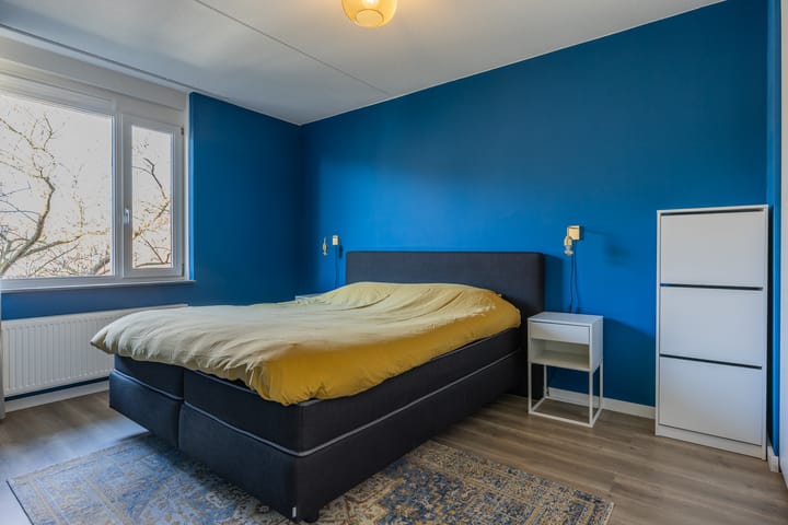 Foto 24 van Breedspoor 6