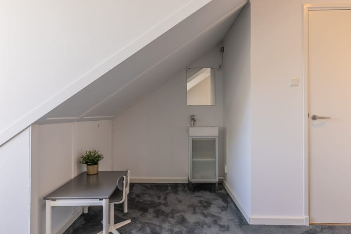 Foto 35 van Breedspoor 6