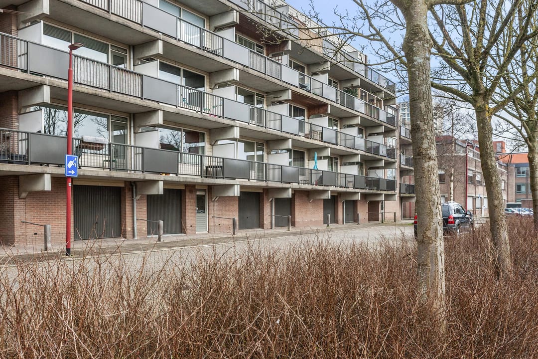 Foto 1 van Appelvink 7