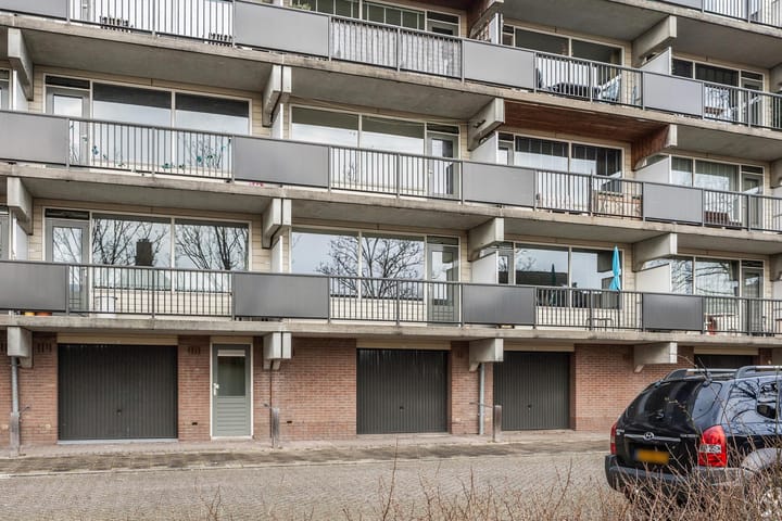 Foto 2 van Appelvink 7