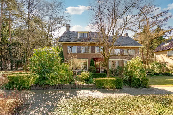 Foto 1 van Witte de Withlaan 1