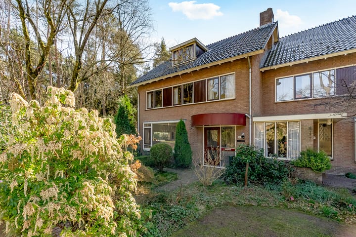 Foto 4 van Witte de Withlaan 1