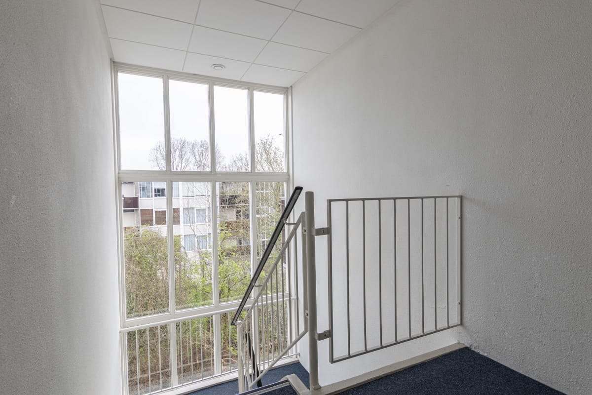 Foto 19 van Cornelis Pronklaan 149