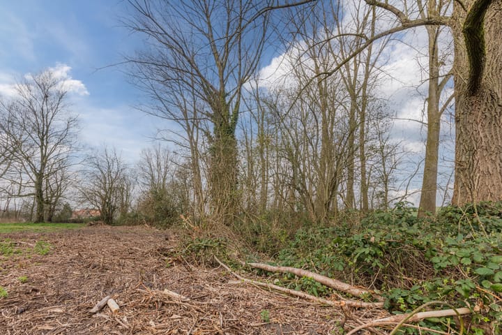 Foto 37 van Achterstraat 5