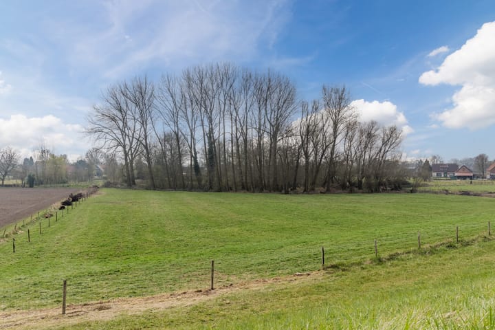 Foto 42 van Achterstraat 5