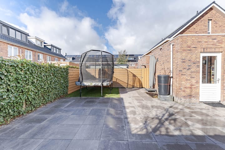 Foto 11 van Sleutelbloem 11