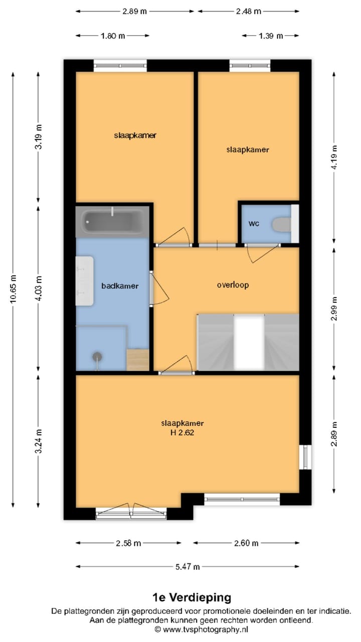 Foto 29 van Sleutelbloem 11