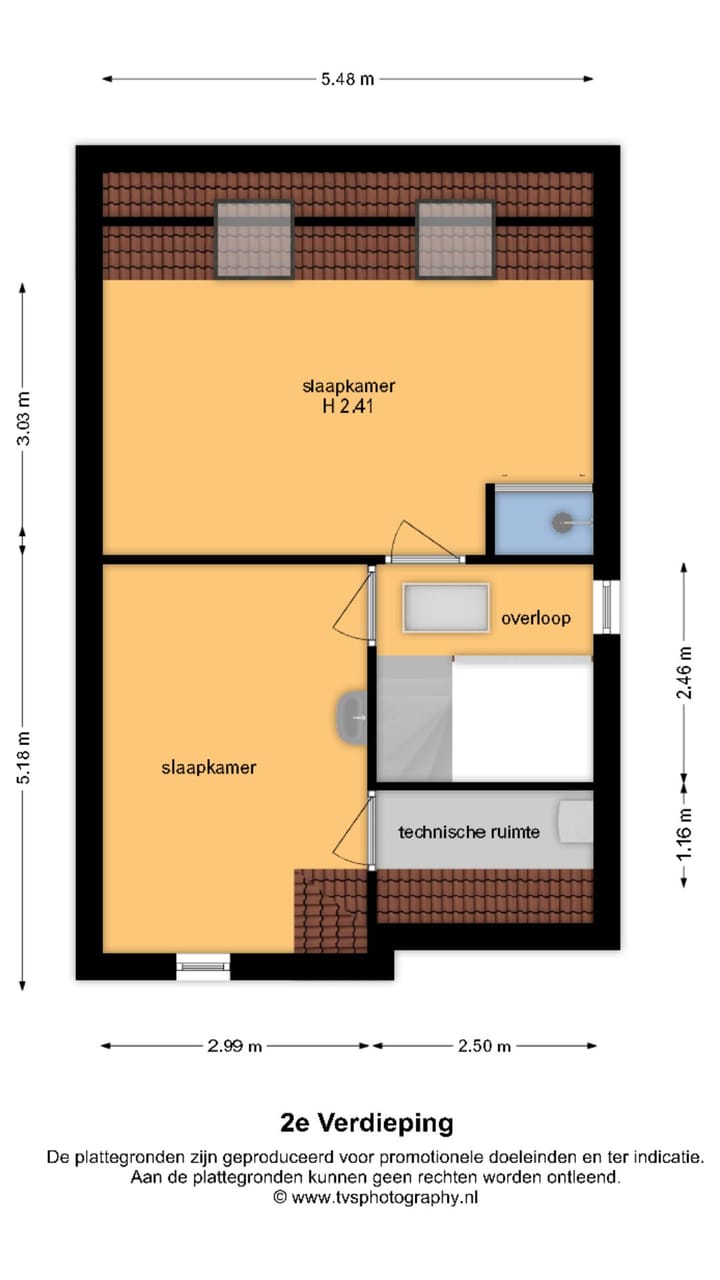 Foto 30 van Sleutelbloem 11