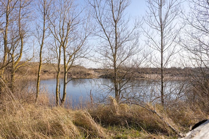 Foto 42 van Dr Kuyperstraat 3