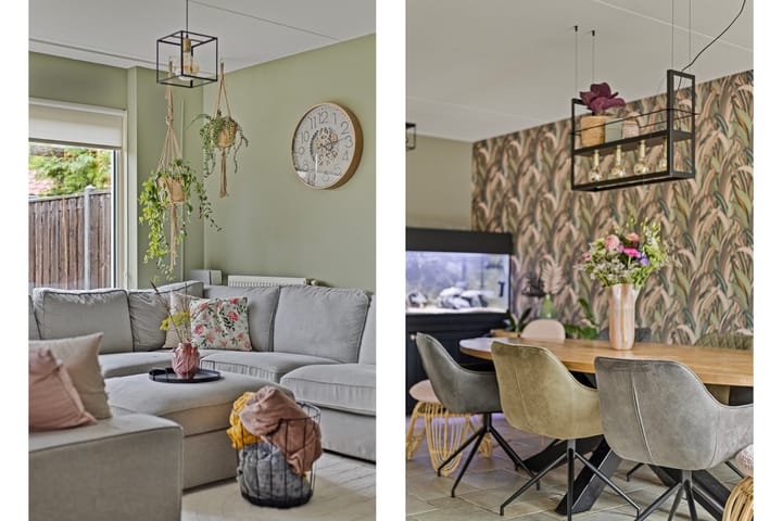 Photo 7 of Hoornblad 6