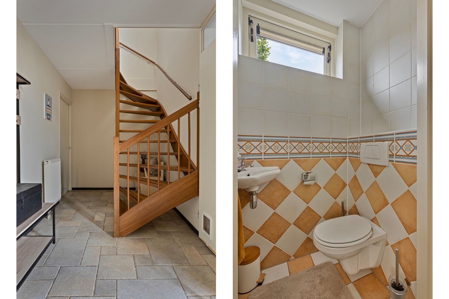 Foto 4 van Hoornblad 6