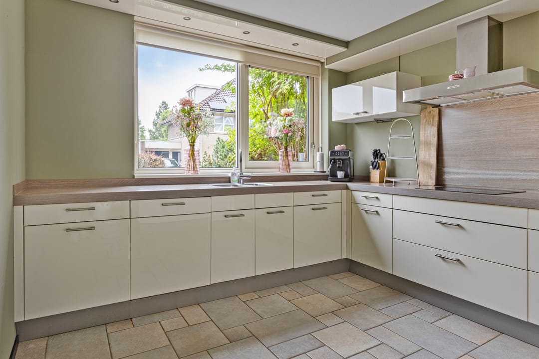 Foto 11 van Hoornblad 6