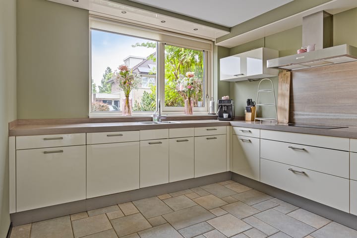 Photo 11 of Hoornblad 6