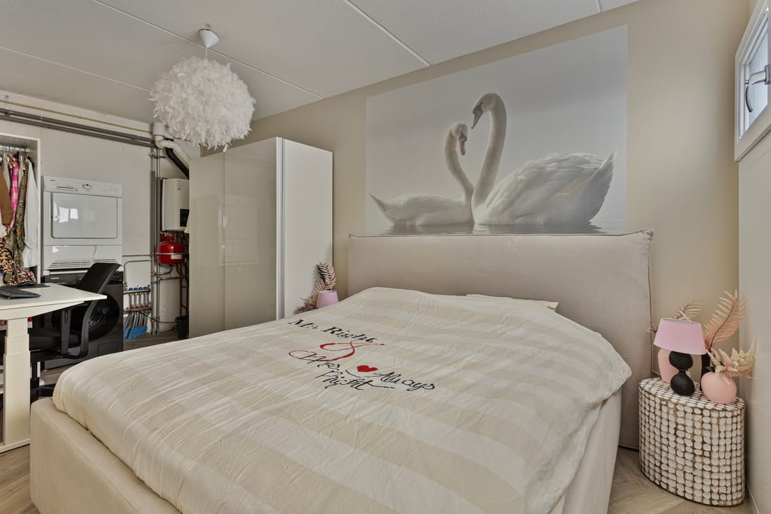 Foto 13 van Hoornblad 6