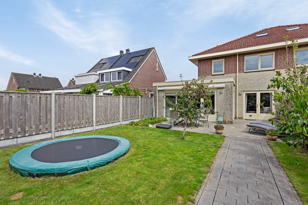 Foto 26 van Hoornblad 6