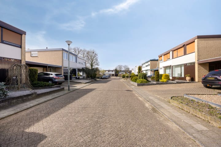 Foto 38 van Pieter Bothstraat 18