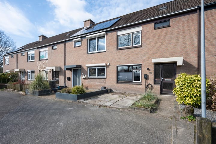 Foto 1 van Slechtvalk 76