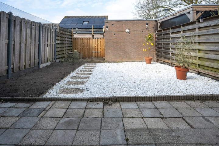 Foto 27 van Slechtvalk 76