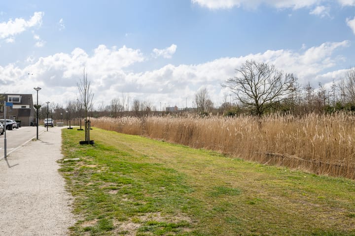 Foto 30 van Munterstraat 30