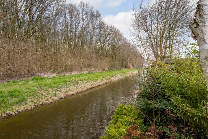 Foto 31 van Munterstraat 30